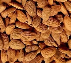 فروش مغز بادام آذربایجان + قیمت عمده